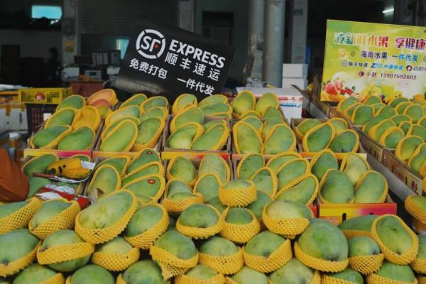 在這裡我毫不焦慮，還實現了水果自由