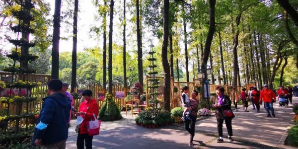 進入最佳觀賞期 進入最佳觀賞期