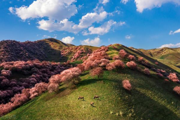 超出你想象的空中草原