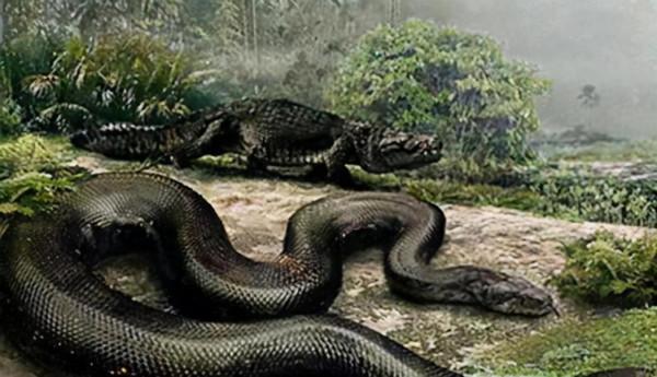 為什麼人類如此懼怕蛇？科學家在嬰兒身上找到了答案