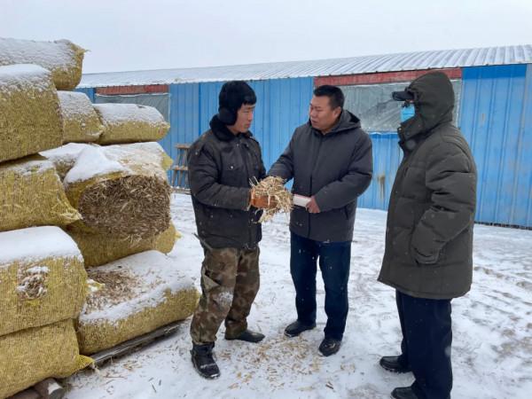 抓招商 促專案 謀發展丨吉林省秋林集團:打造肉羊全產業鏈 富裕一方百姓 抓招商 促專案 謀發展丨吉林省秋林集團:打造肉羊全產業鏈 富裕一方百姓