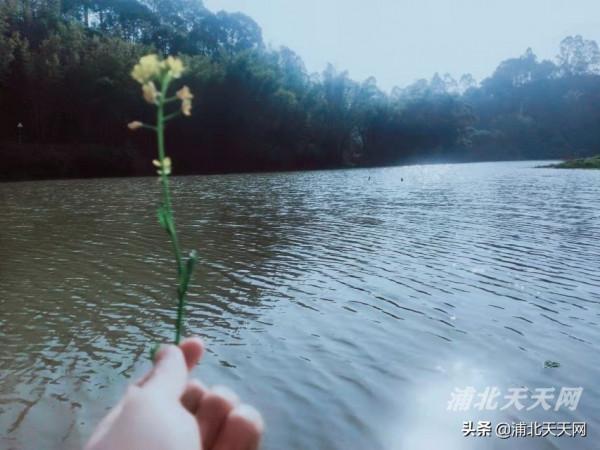 今天，浦北一掃多日的陰涼天氣，終於都迎來了藍天麗日