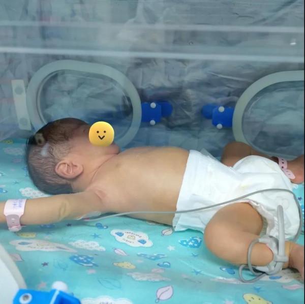 新生兒科醫護人員10天日夜照料 早產龍鳳胎姐弟倆康復出院