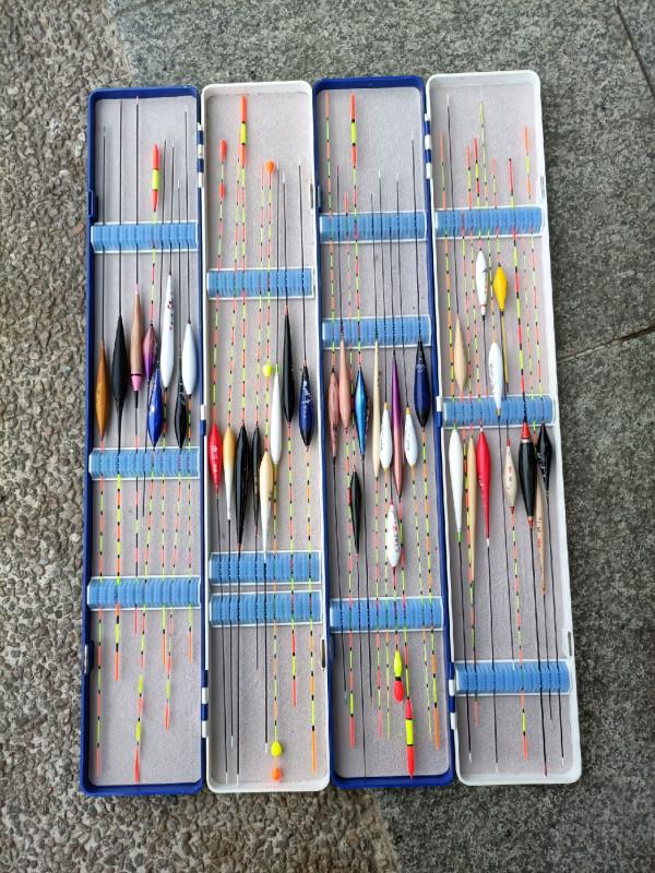 早起的鳥兒有蟲吃，晨釣提竿遛大魚&hellip;&hellip;