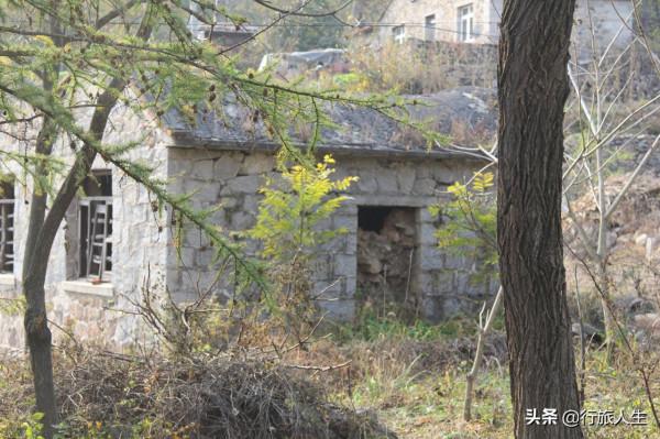 禾火的故事 禾火的故事