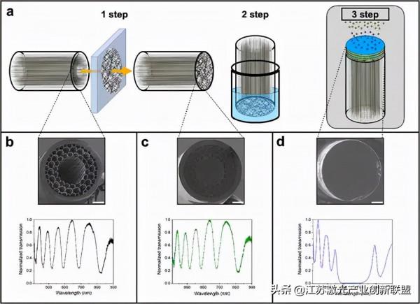 鐳射內窺鏡探頭的創造助力顯微外科手術 鐳射內窺鏡探頭的創造助力顯微外科手術
