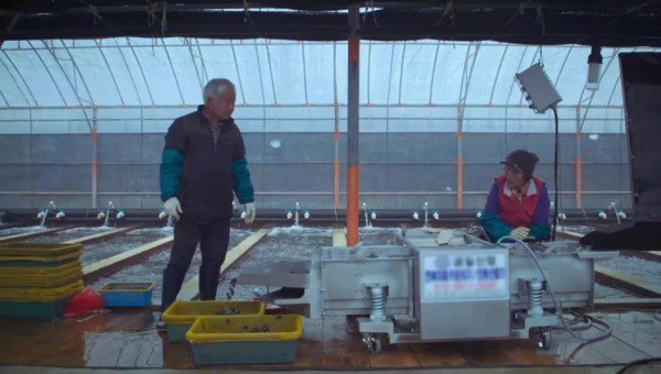 下嫁毀容男、喪子又殘疾、一家10口蝸居破房50年，她卻說無比幸福