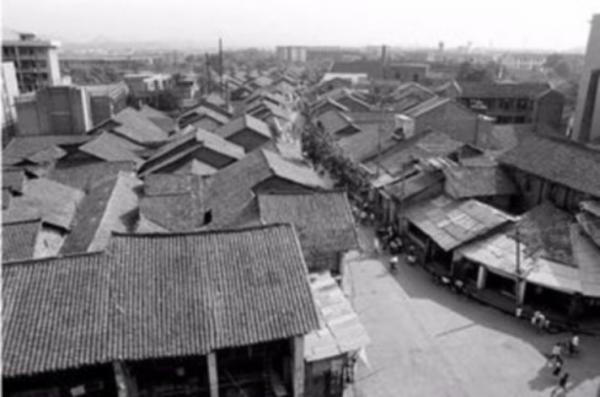 1919年，毛澤東的母親病逝，主席信中寫道她“損己利人”，為何？