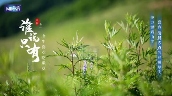 奶山羊的生活,我真的羨慕了 奶山羊的生活,我真的羨慕了