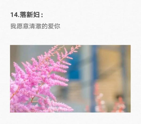 50種花的&OpenCurlyDoubleQuote;花語&rdquo;你知道那些？&lpar;二）「建議轉發收藏」