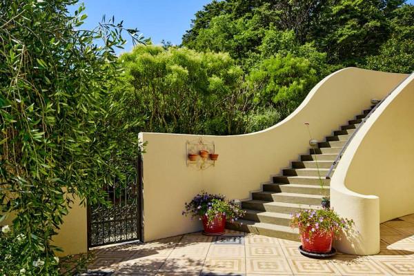 紐西蘭的普羅旺斯