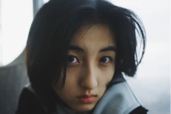 這才是中國電影的希望！求求，楊冪趙麗穎別爭了