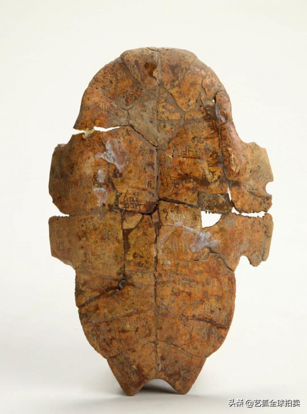 一片甲骨驚世界