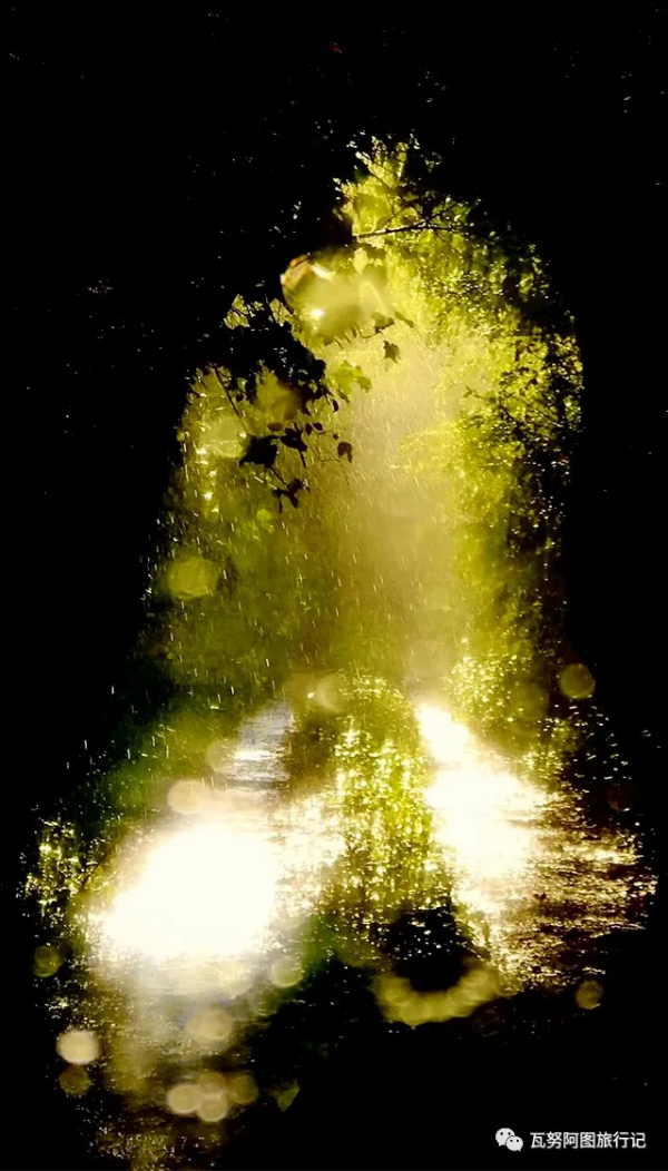 諾和西海的粉色邂逅