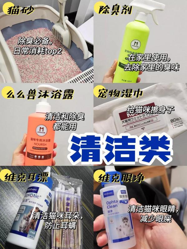 新手如何正確養貓，看這個就夠了