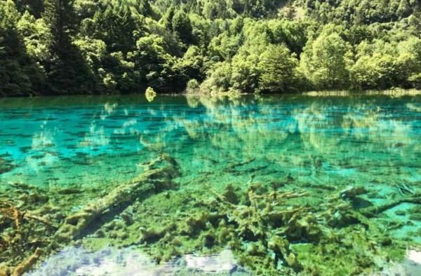 九寨溝美景啊美翻了 九寨溝美景啊美翻了