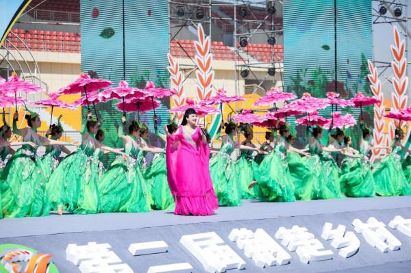 第二屆荊楚鄉村文化旅遊節開幕助力鄉村振興