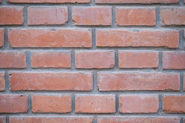 「有料評測」它不是套機頭 尼康Z 24-120mm F4鏡頭評測