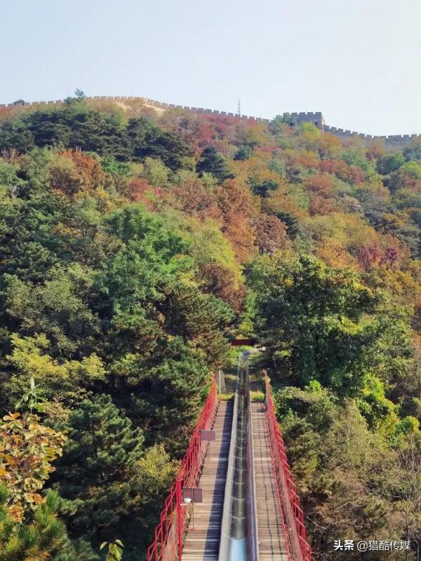週末京郊遊~爬香山賞紅葉 週末京郊遊~爬香山賞紅葉