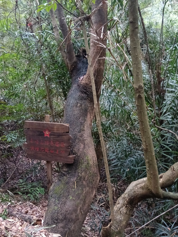 重走長征路，體驗不一樣的新年