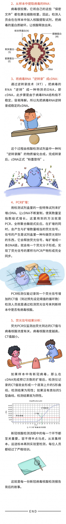 科普 | 核酸檢測報告是怎麼做出來的? 科普 | 核酸檢測報告是怎麼做出來的?