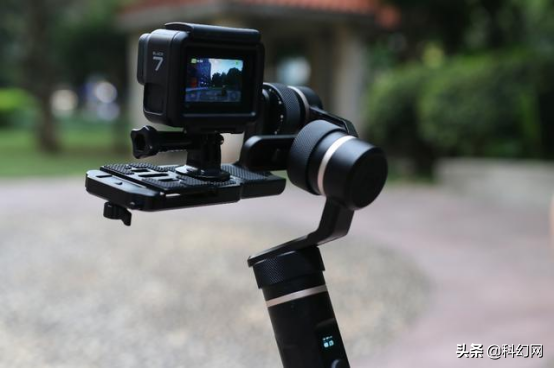 “雞頭穩定器”天然超級防抖“攝像雞”中的戰鬥雞