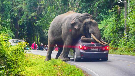 神奇的大自然讓人大開眼界 神奇的大自然讓人大開眼界