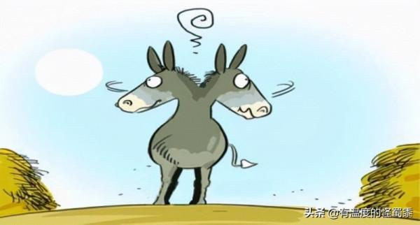 小心，別被乾貨文給看廢了