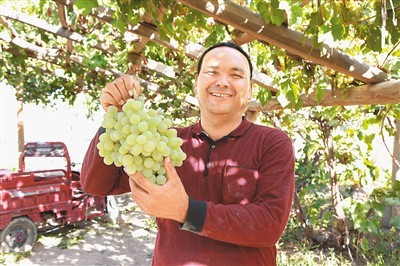 希望的田野 豐收的中國