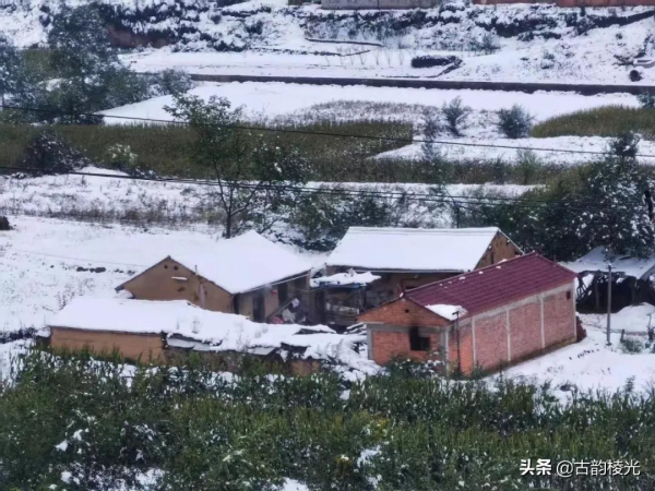 稜光丨雜談丨當孩子已經長大 稜光丨雜談丨當孩子已經長大