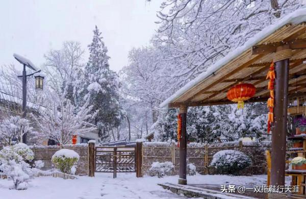 花鄉&bull;雪｜能飲一杯無？