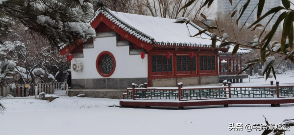 難覽觀園全畫景 雪覆臘梅一隅香&mdash;&mdash;踏雪尋遊北京大觀園