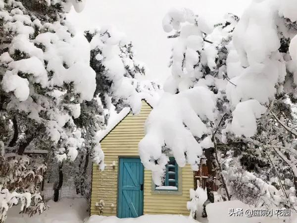 他賣掉城裡的房子，包了個山頭，打造集裝箱陽光房、小木屋、花園