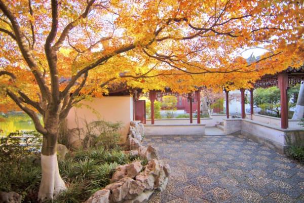 豐富多彩的浪漫“香”遇,正在青浦等你哦~跟著特色線路遊起來 豐富多彩的浪漫“香”遇,正在青浦等你哦~跟著特色線路遊起來