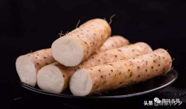 嬰兒最愛吃的輔食推薦——雪梨篇 嬰兒最愛吃的輔食推薦——雪梨篇