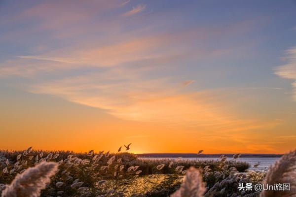 額濟納這些最美秋色,今年看不到了,來年你要去嗎? 額濟納這些最美秋色,今年看不到了,來年你要去嗎?