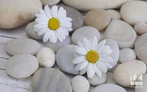 微信新功能：“不如我們互刪吧”