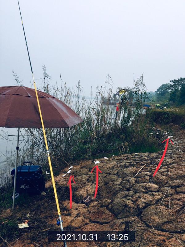 信念如熾,斜風細雨鏖戰團頭湖,周大師分析冬季釣魚技巧 信念如熾,斜風細雨鏖戰團頭湖,周大師分析冬季釣魚技巧