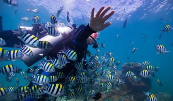 國內這些絕美海島等你打卡！一起get科幻鉅製《沙丘》同款取景地