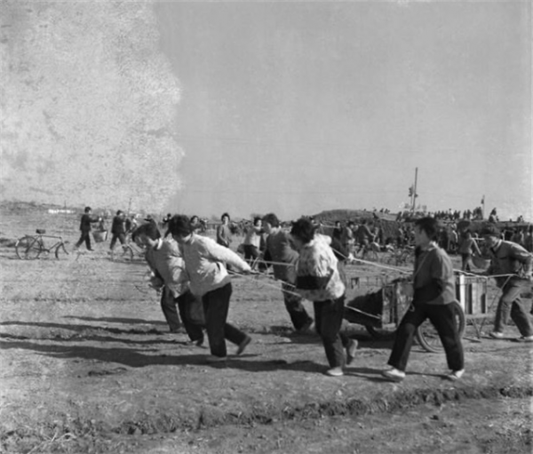 知青真實回憶:抓大鰉魚越界被抓走 知青真實回憶:抓大鰉魚越界被抓走