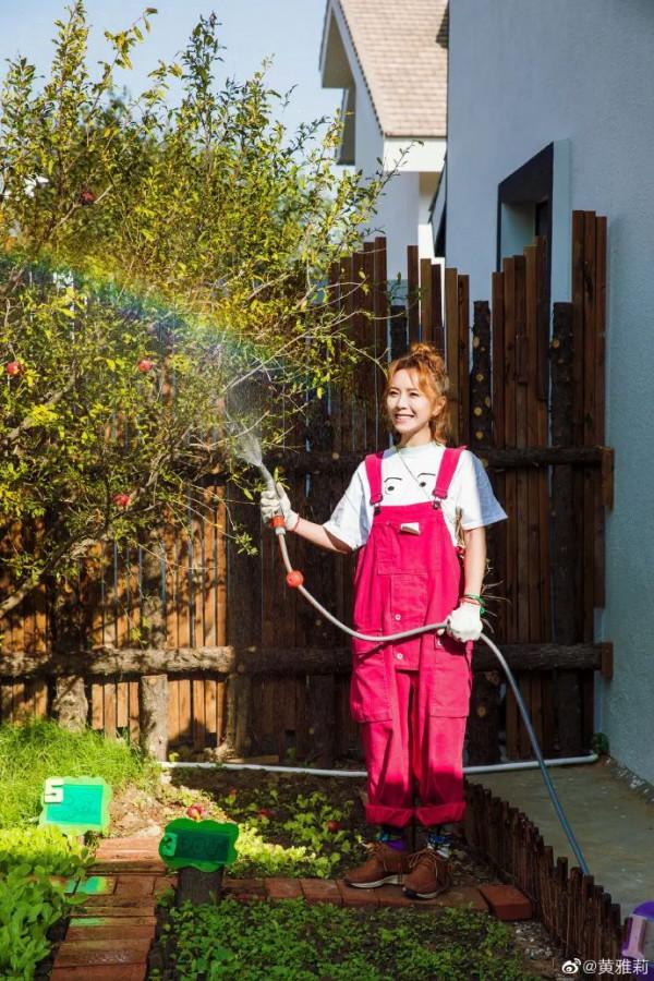 嫁給相戀16年的初戀,32歲黃雅莉活成城市版李子柒:寶藏女孩實錘了 嫁給相戀16年的初戀,32歲黃雅莉活成城市版李子柒:寶藏女孩實錘了