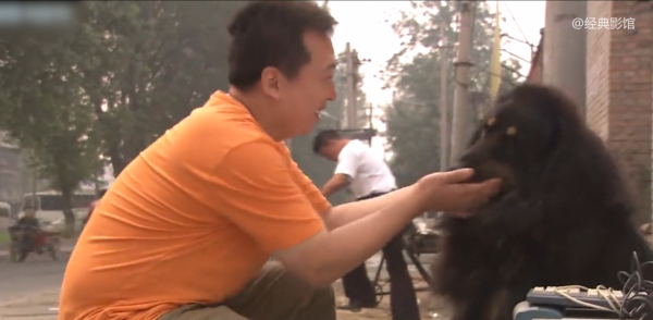 夫妻搬進新小區，被告知不讓養大型犬，藏獒竟咬舌自盡！國產片