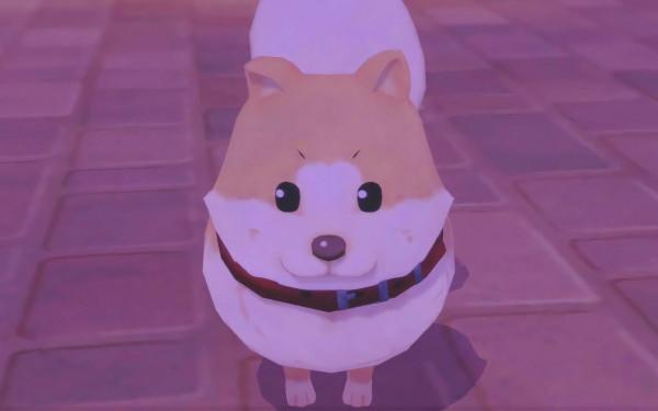 培養農作物、飼養動物、建立關係並結識新家園的居民 培養農作物、飼養動物、建立關係並結識新家園的居民