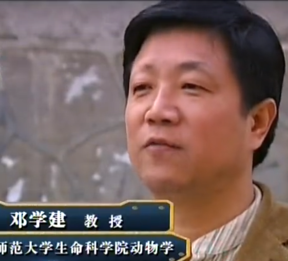 故事:江西出現無蚊奇村,數千年未被蚊子侵擾,專家調查給出解釋 故事:江西出現無蚊奇村,數千年未被蚊子侵擾,專家調查給出解釋