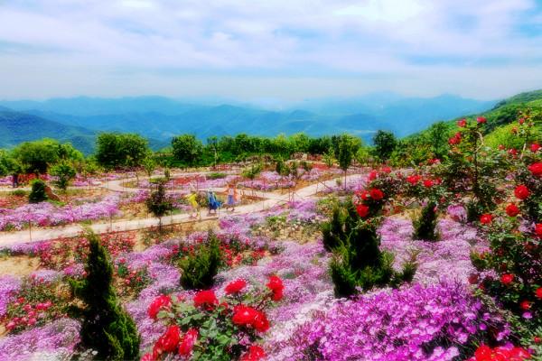 河南最牛的景區，一腳踏兩省，一眼看四個城市，你知道是哪嗎