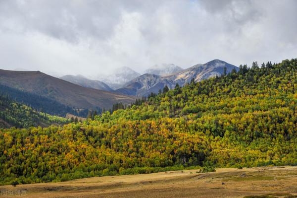 中國最美的七條徒步線路,你去過幾條? 中國最美的七條徒步線路,你去過幾條?