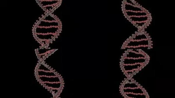 「Cell」從根源開始研究基因變異——“抽獎”一樣的規則 「Cell」從根源開始研究基因變異——“抽獎”一樣的規則