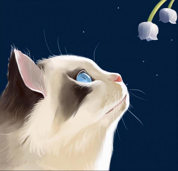 小貓要從小讓他養成這些好習慣,你知道是哪些嗎? 小貓要從小讓他養成這些好習慣,你知道是哪些嗎?