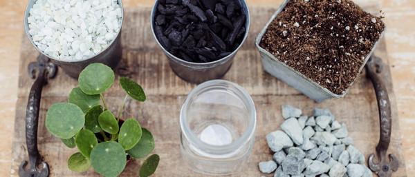 沒有底洞的花盆，怎麼能養好花？