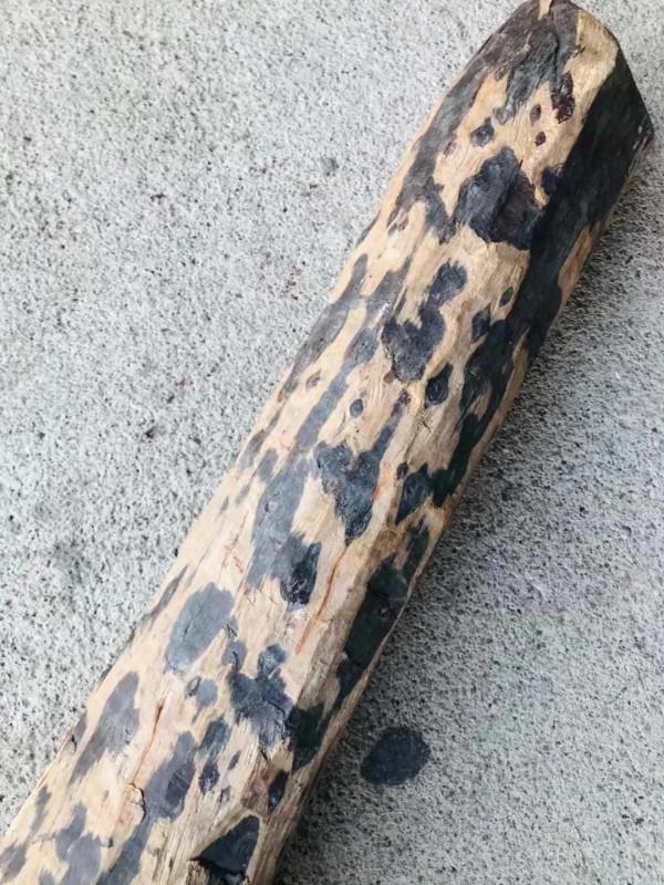 這根普普通通的木頭，竟然價值破萬？這就是紫檀啊